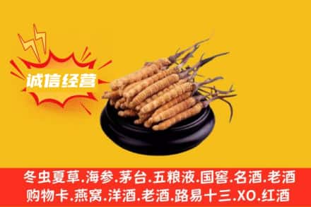 张家口回收冬虫夏草